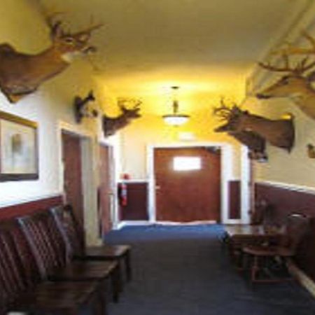 Macarthur Inn Narrows Exterior photo